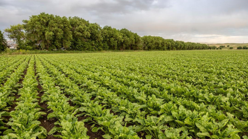  Жетісу облысының әкімдігі 