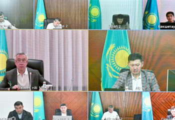 Protection measures against locusts completed in Turkestan region