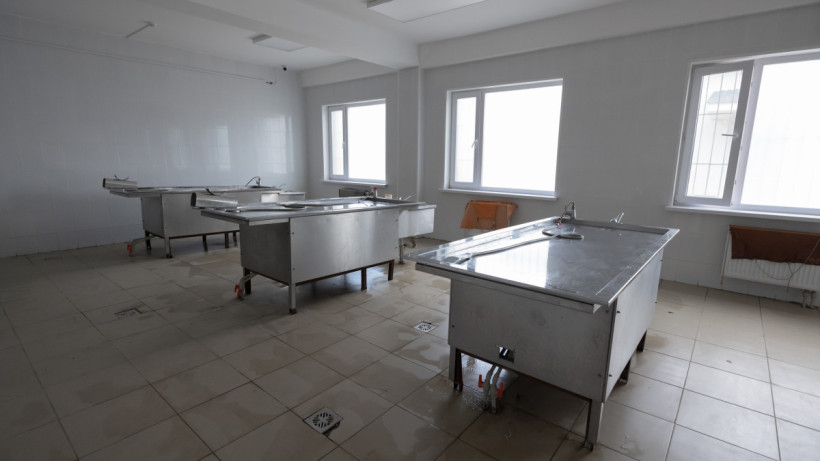  © El.kz/Артем ЧУРСИНОВ 