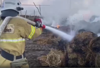 30 тонн сена горели в Алматинской области