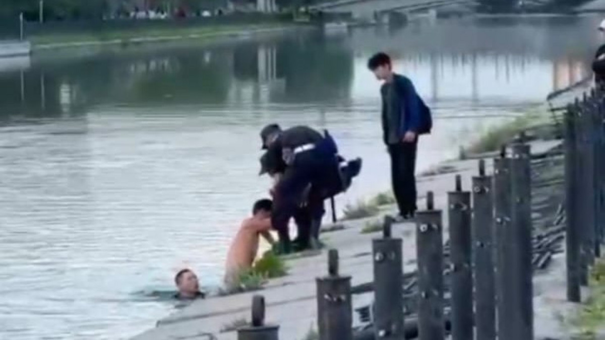  Видеодан кадр 