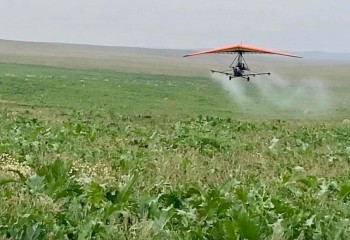 Түркістан облысында 70 мың гектарға химиялық өңдеу жүргізілді