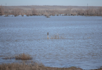 Мужчина утонул в Костанайской области