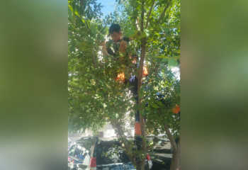 Семилетнему «Маугли» из Талдыкоргана пришлось вызвать спасателей