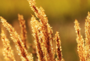 Синоптиктер аптап ыстық болатынын ескертті