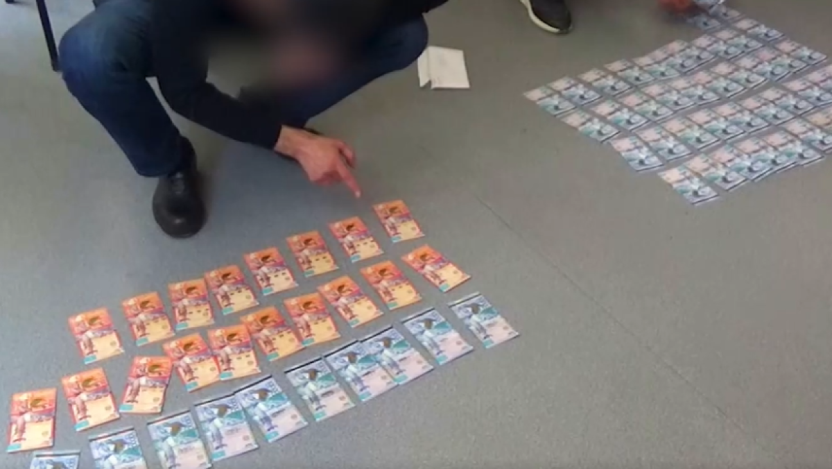  Видеодан кадр 