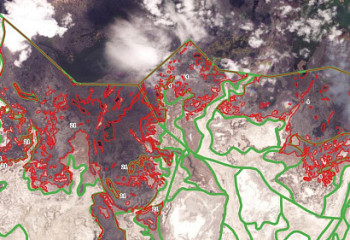 Космический мониторинг показал площадь пожара в резервате Иле-Балхаш