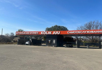 Алматинец добровольно снёс собственную автомойку