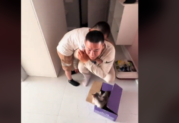 Родители подарили малышу кошку и столкнулись с неожиданной реакцией