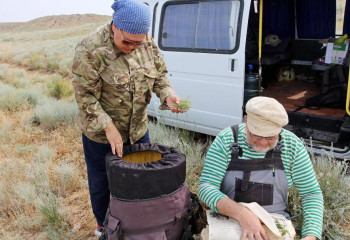 Махамбет университетінің ғалымдары өсімдіктің жаңа түрін тапты