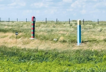 104 км вдоль границы обработано против саранчи со стороны Казахстана