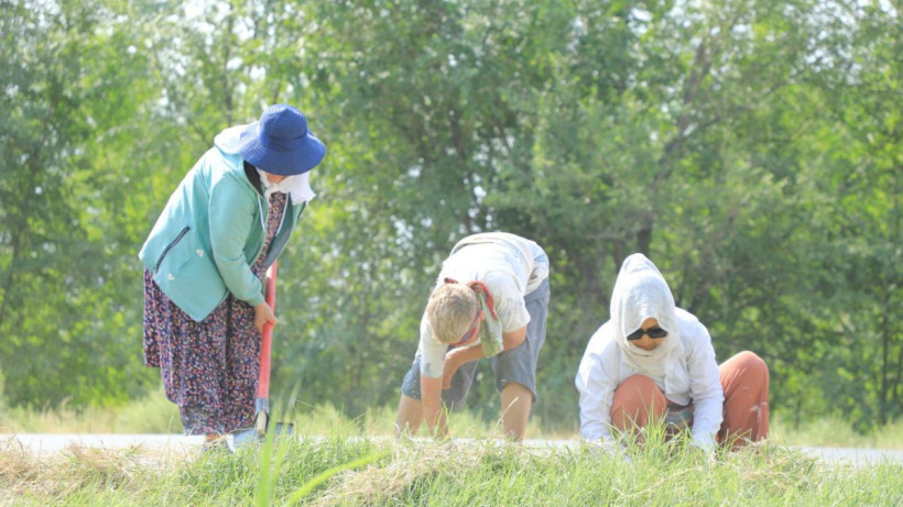  Акимат Туркестанской области 