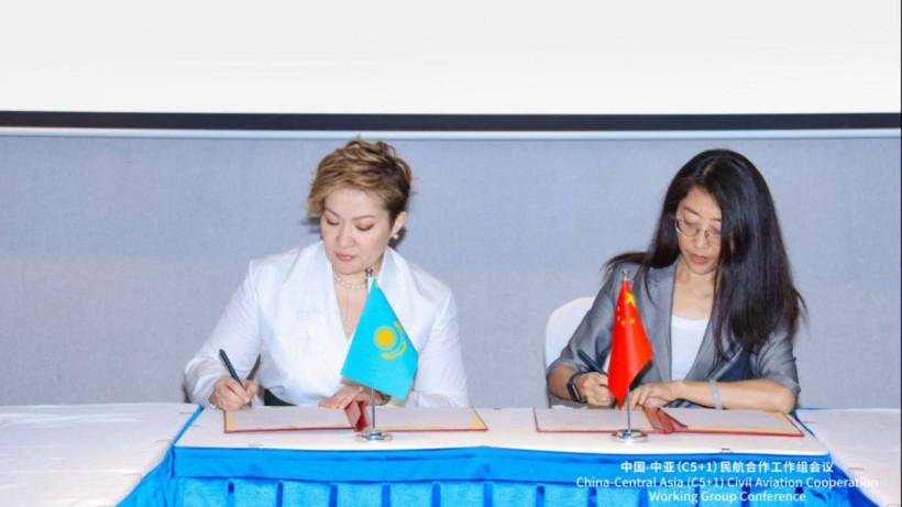  Civil Aviation Committee 