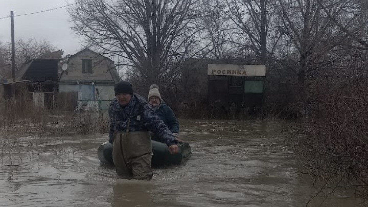  кейіпкердің жеке мұрағатынан 