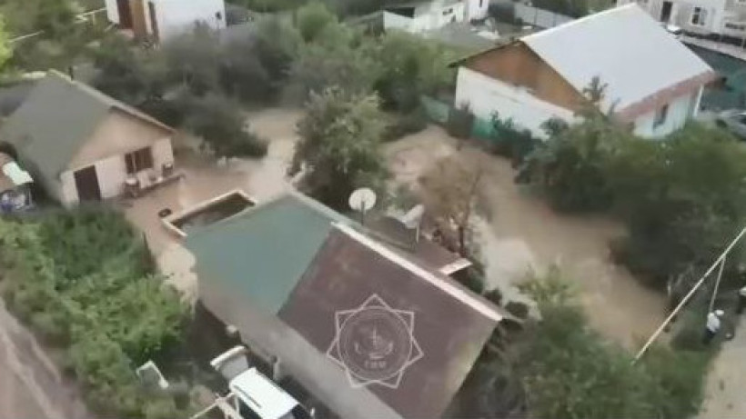  Видеодан кадр 