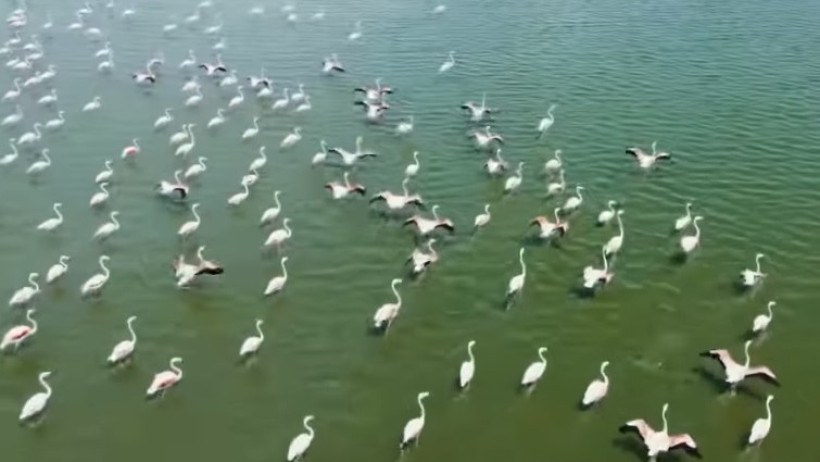  кадр из видео Региональной службы коммуникаций Атырауской области 