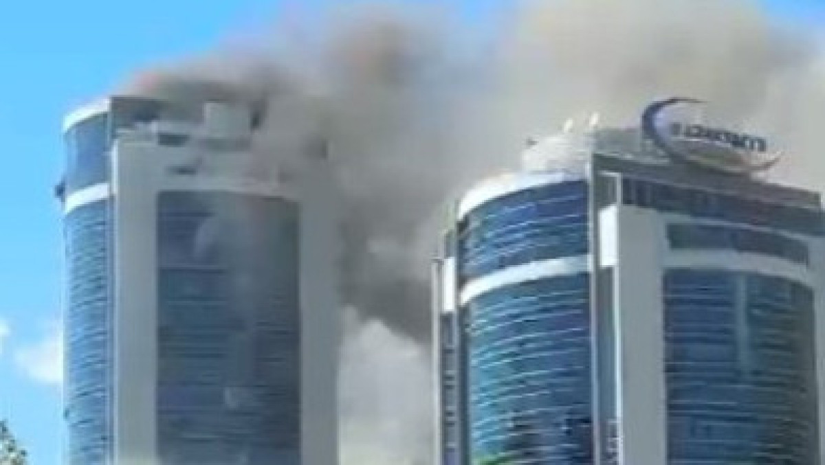  Видеодан кадр 