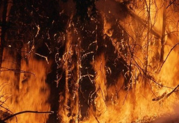 Грекиядағы аралды өртегендердің кім екені анықталды