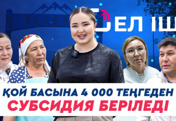 Қой басына 4 000 теңгеден субсидия беріледі