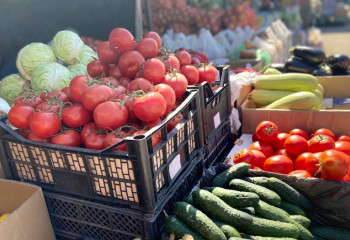 На 10 видов социальных продуктов питания снизились цены