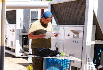 «Ауа жоқ»: Астана әуежайы жолаушылардың шағымына жауап берді