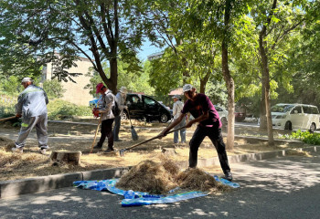 «Таза Қазақстан»: Шымкентте басты су артериясының жағалаулары тазартылды