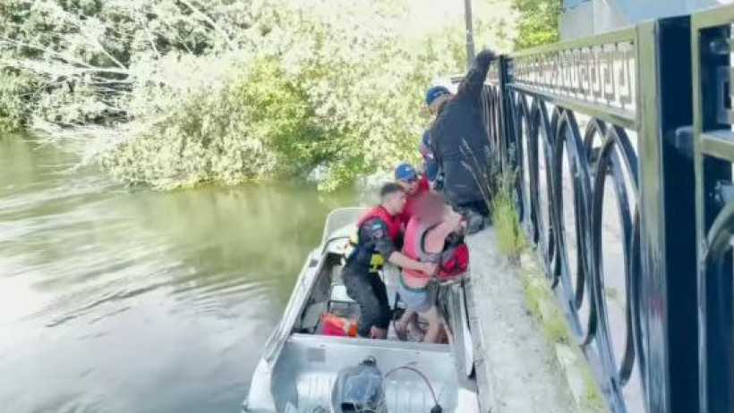  Видеодан кадр 