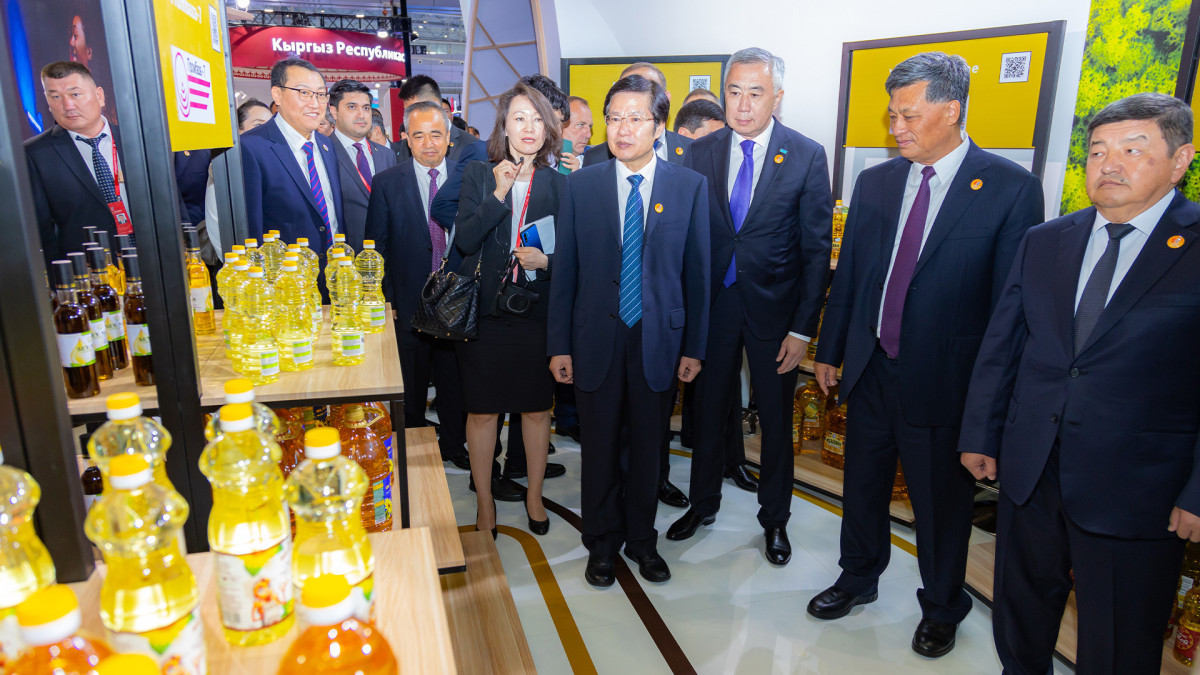  primeminister.kz 