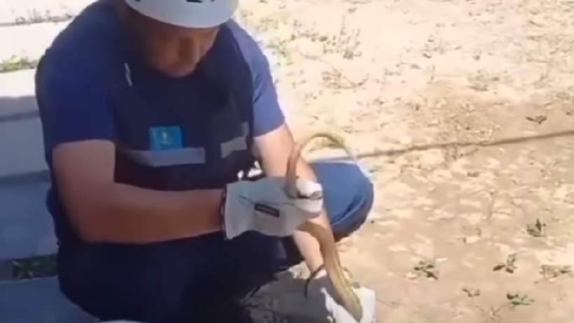  Видеодан кадр 