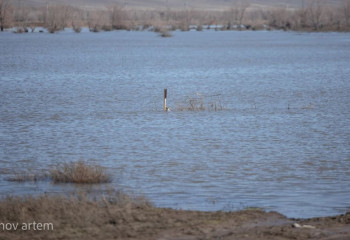 Биыл Қазақстанның су қоймаларына 75 млрд текше метр су жиналды