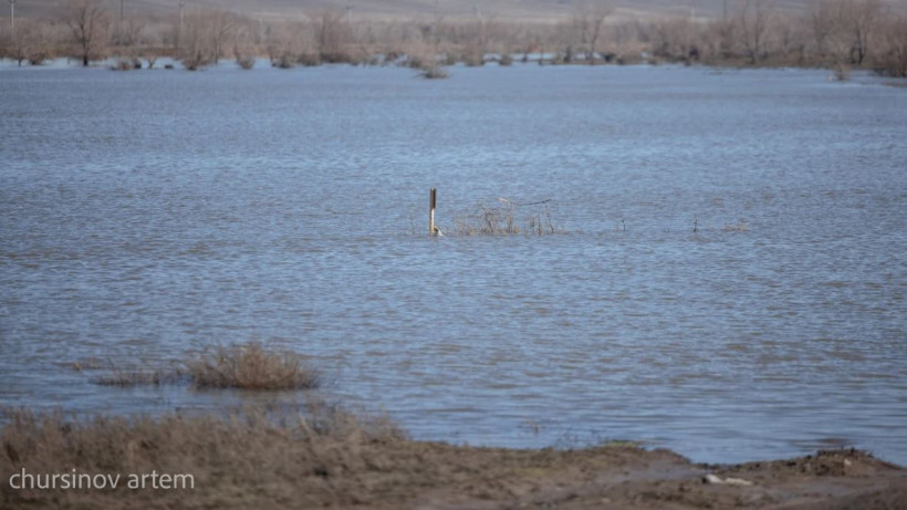  ©El.kz/Артем Чурсинов 