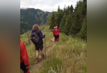 В горах Алматинской области нашли британского туриста