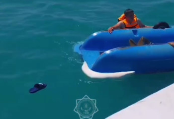 Пять человек упали с катамарана на озере Алаколь