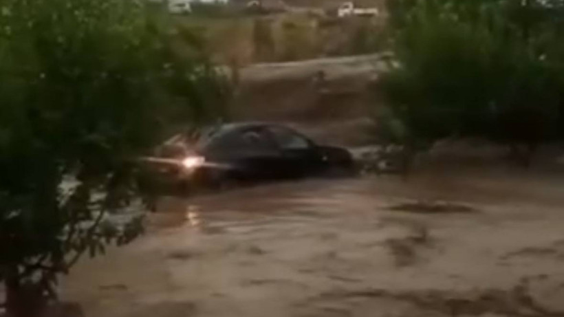  Видеодан алынған кадр 