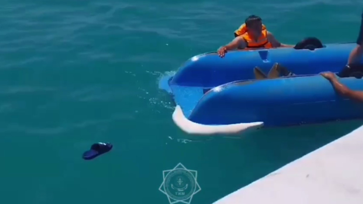  Кадр из видео 