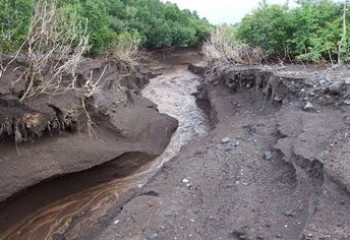 Сел қаупі: ТЖМ қауіпсіздік ережелерін еске салды