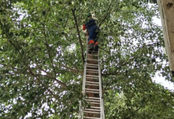 Астанинские спасатели пришли на помощь коту