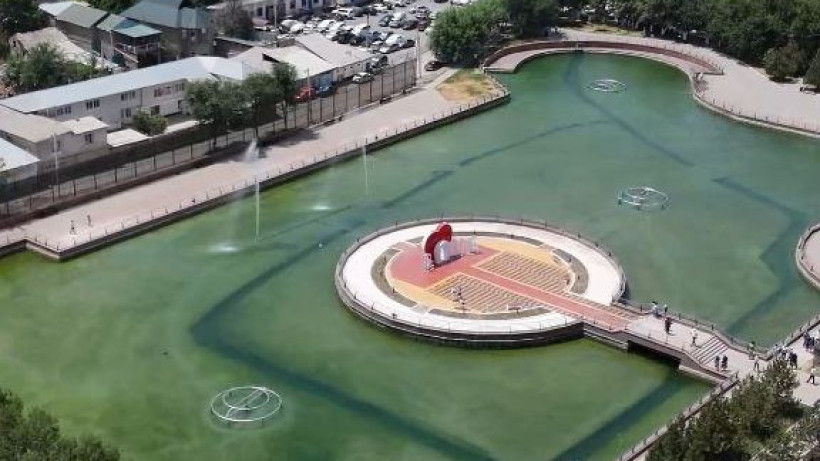  Видеодан кадр 