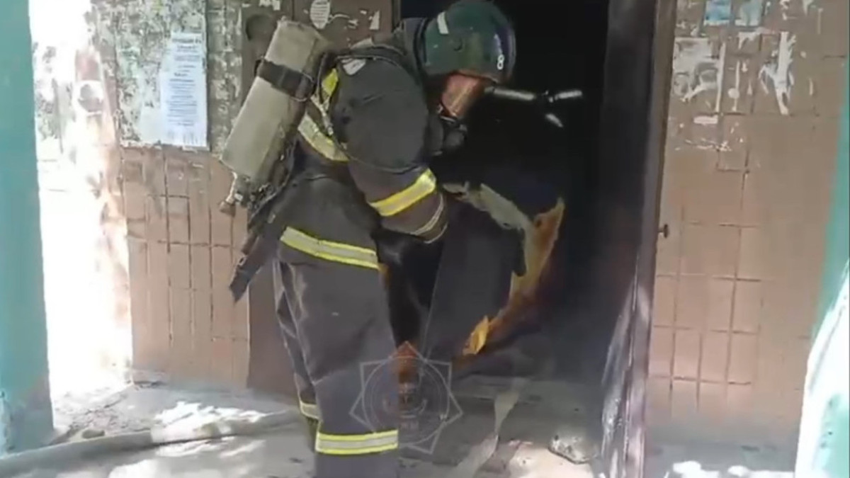  Видеодан кадр 