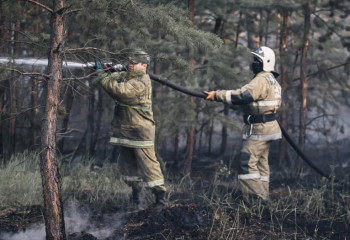 В два раза повысили зарплаты казахстанским лесничим