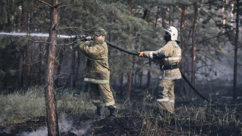  Ministry of Ecology and Natural Resources of Kazakhstan / Facebook 