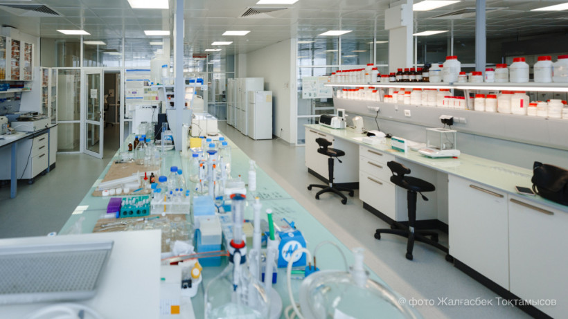  El.kz/Жалгасбек Токтамысов 