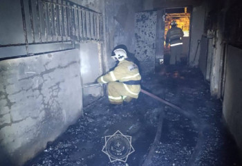 Алматы облысында шаруа қожалығынан өрт шықты