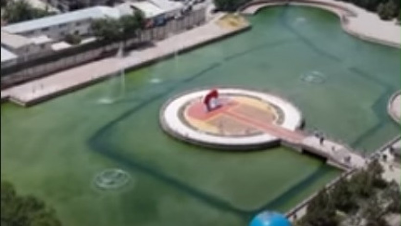  Кадр из видео Otyrar.kz 