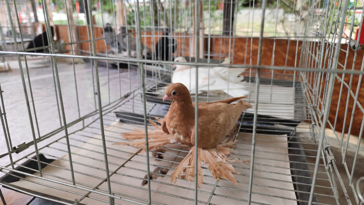  ©El.kz/Татьяна АЛАДЬИНА 