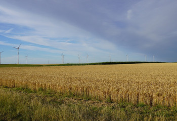 2 шілдеге арналған ауа райы болжамы