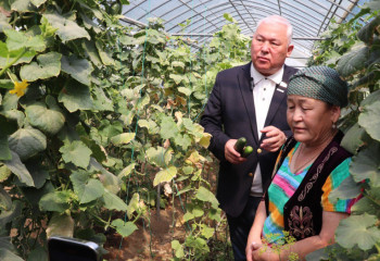 «Ауыл аманаты» улучшает благосостояние сельских жителей – мажилисмен