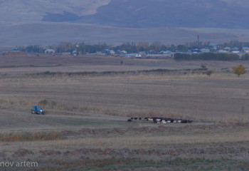 Более 22 тысяч га сельхозземель в Актюбинской области возвращены государству