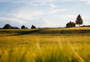Ақтөбе облысында 22 мың гектардан астам жер мемлекетке қайтарылды