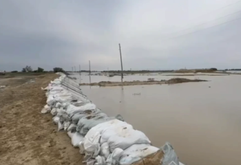 Жайық өзені жағалауындағы қапшықтар тазартылып жатыр